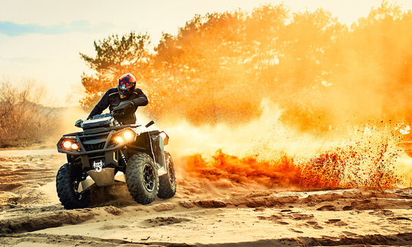 Read more about the article Adventure Parks