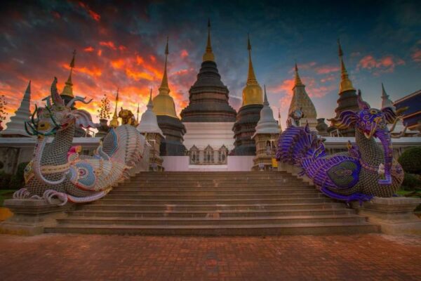 Read more about the article Pay homage to Buddha